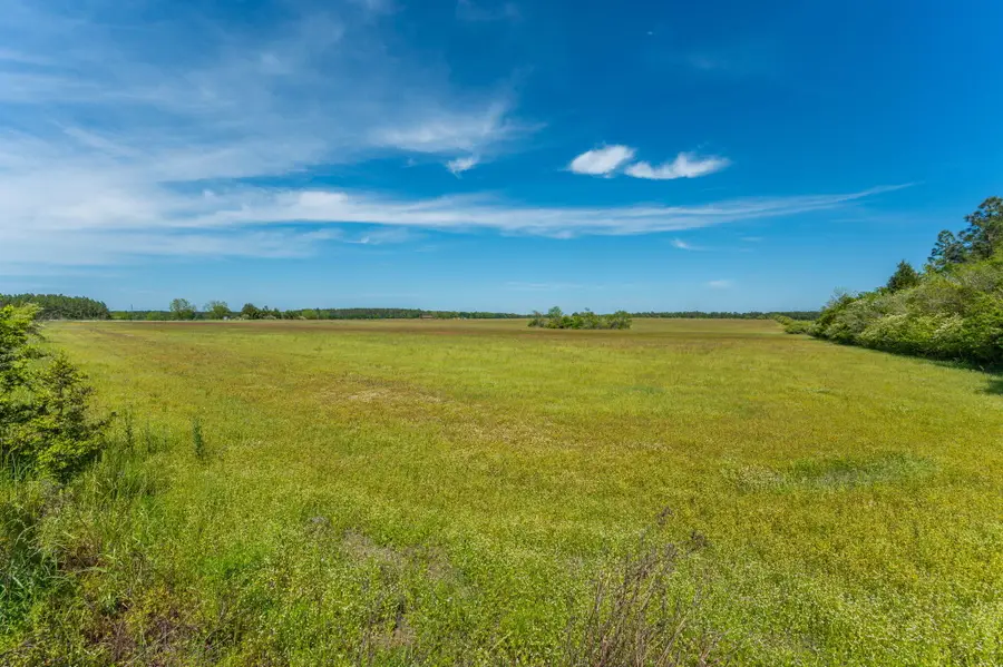 Parcel A Adams Drive, Defuniak Springs, FL 32433 - #2