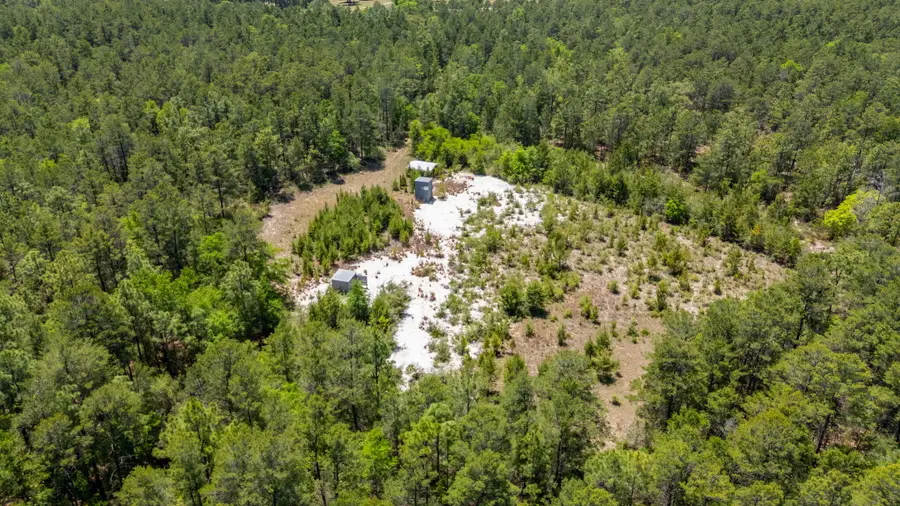 56 Acres Hinote Road, Defuniak Springs, FL 32433 - #2