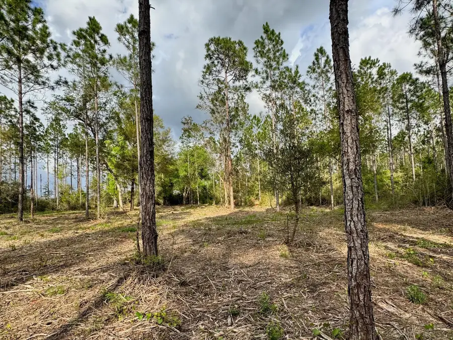 Lot 9 Pleasant Hill Road, Bonifay, FL 32425 - #3