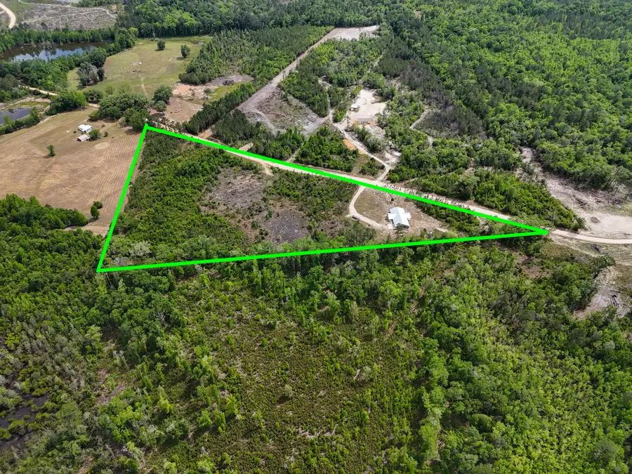 7514 Laird Road, Florala, AL 36442 - #2