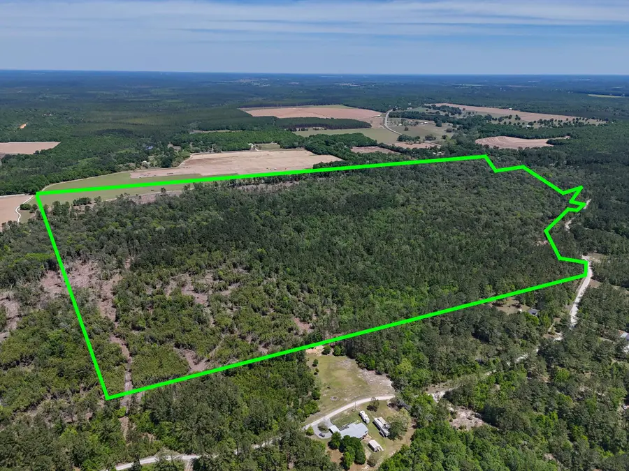 165 Acres Plantation Lane, Defuniak Springs, FL 32433 - #3