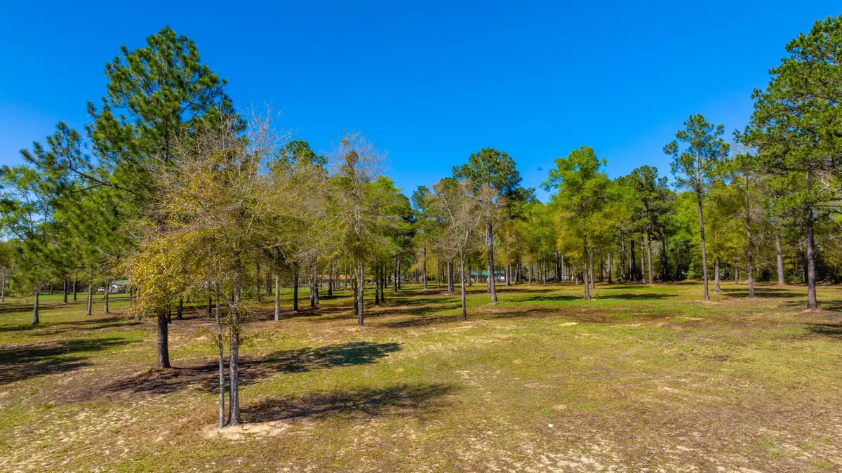 10 Acres S Cannon Drive, Paxton, FL 32538 - #1