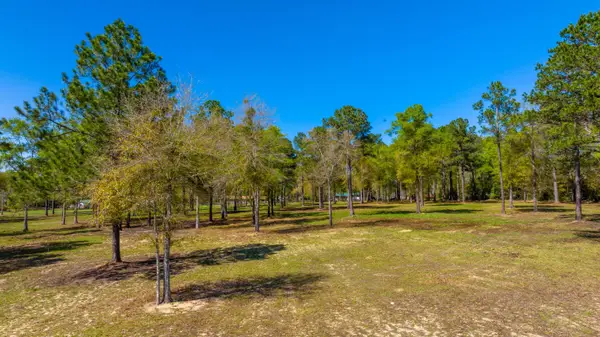 10 Acres N Cannon Drive, Paxton, FL 32538