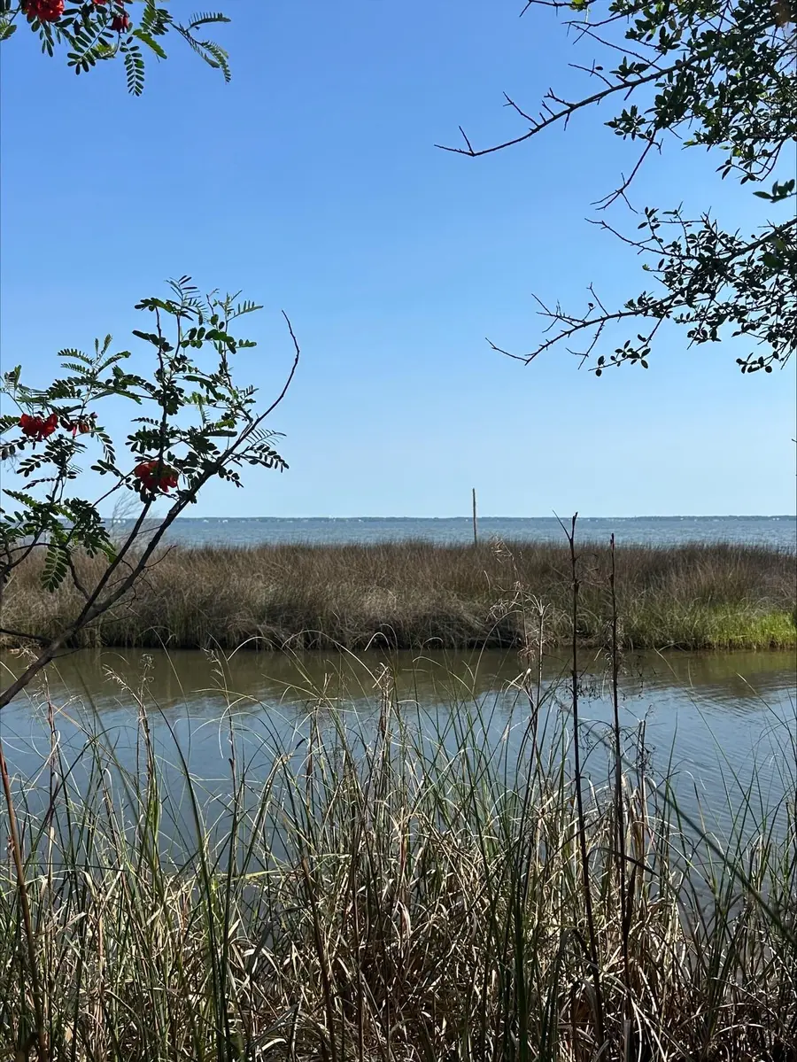 Lot 17 Taurus Drive, Santa Rosa Beach, FL 32459 - #3