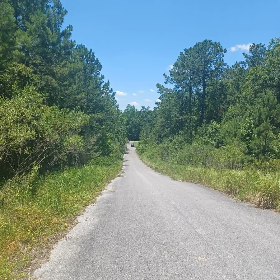 Lot 5 Pleasant Way, Defuniak Springs, FL 32435 - #3
