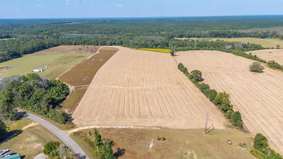 4.91D Acre Mcphail Farm Road, Florala, AL 36442 - #3
