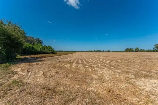 37.4 Acres Mcphail Farm Road, Florala, AL 36442