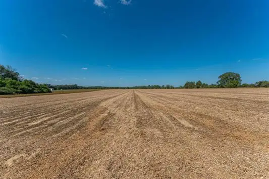 37.4 Acres Mcphail Farm Road, Florala, AL 36442 - #2