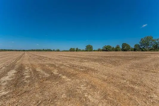 37.4 Acres Mcphail Farm Road, Florala, AL 36442 - #3