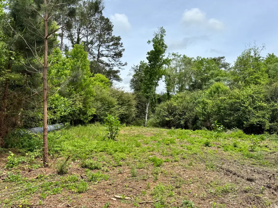 1436 Claxton Avenue, Elba, AL 36323 - #3