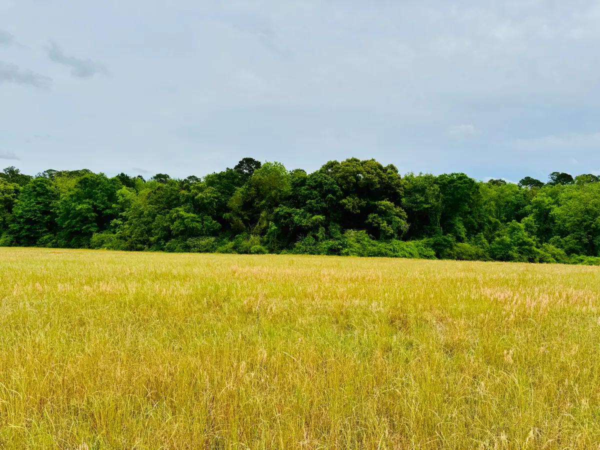 19 acres Highway 55, Andalusia, AL 36420 - #1