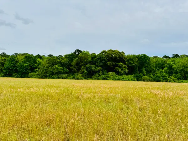 19 acres Highway 55, Andalusia, AL 36420