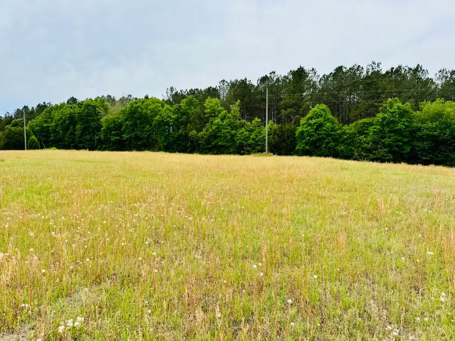 19 acres Highway 55, Andalusia, AL 36420 - #2