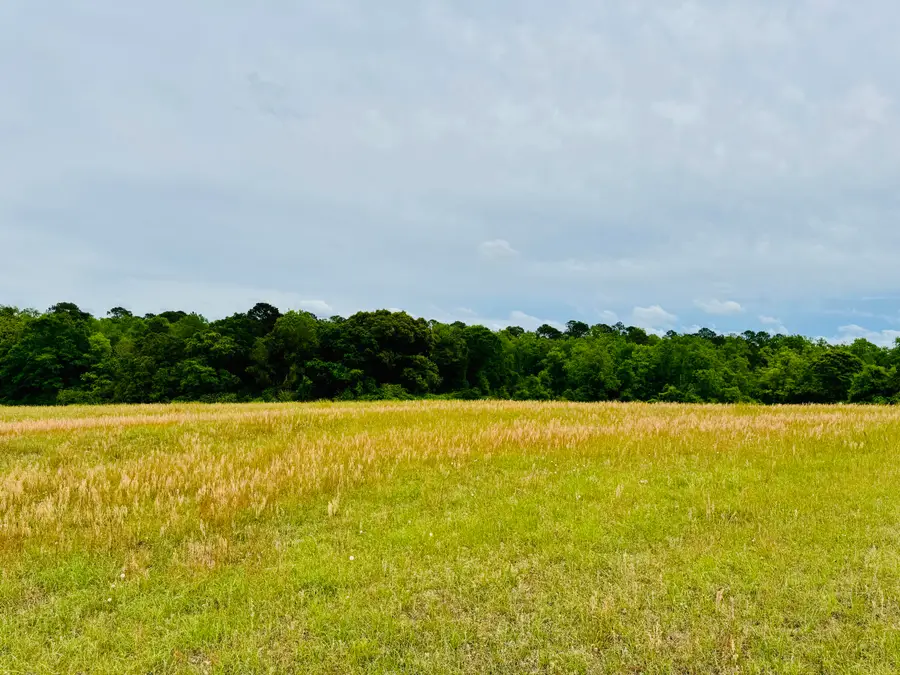 19 acres Highway 55, Andalusia, AL 36420 - #3