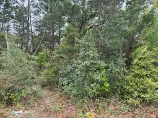 7117 Snug Waters Road, Navarre, FL 32566 - #3