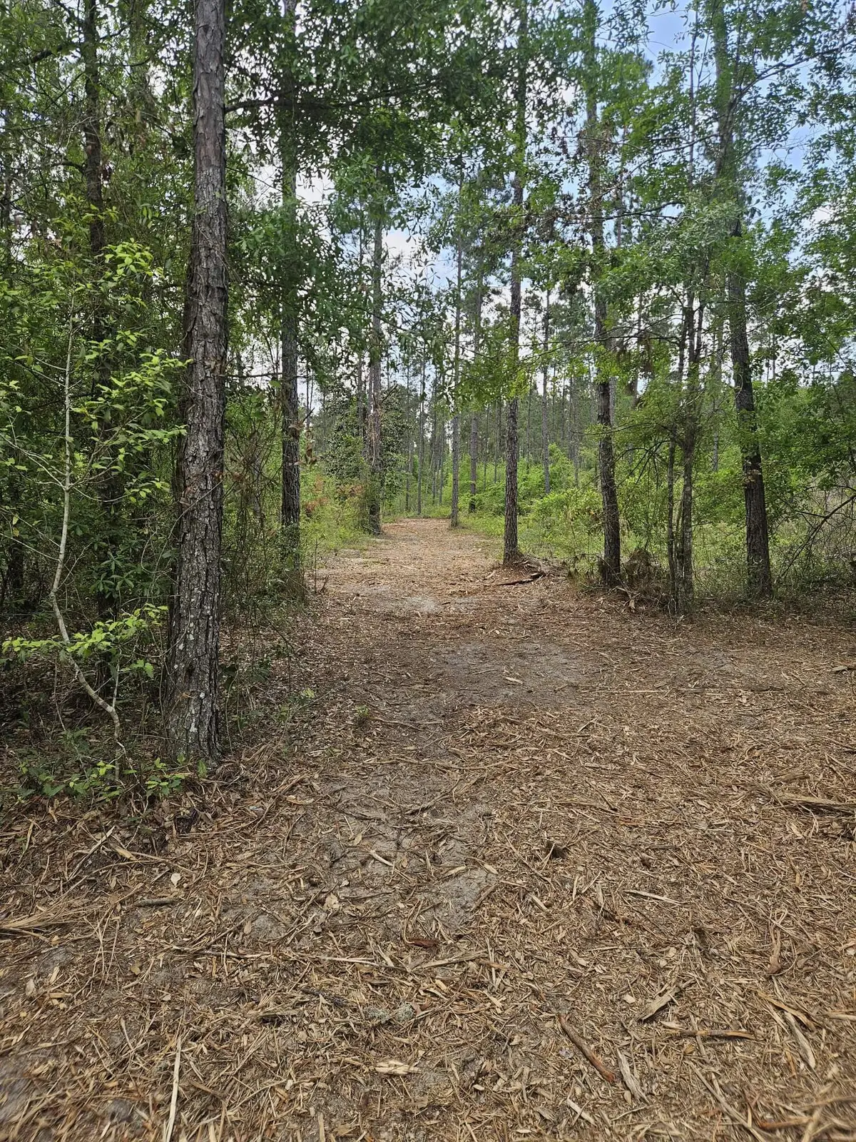 Lot 2 Rocky Creek Road, Marianna, FL 32448 - #1