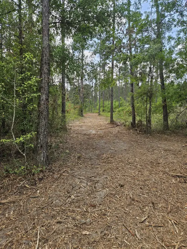 Lot 2 Rocky Creek Road, Marianna, FL 32448
