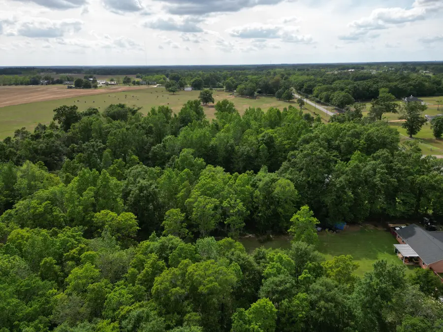 2000 Molino Road, Molino, FL 32577 - #3