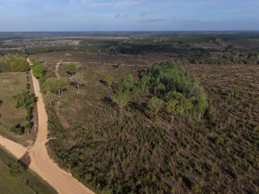 2113 TBD 526 Acres +/-, Westville, FL 32464 - #3