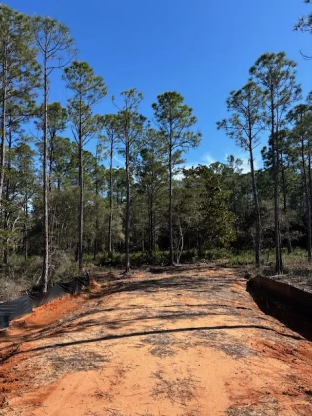 4481 Water Leaf Cove, Gulf Breeze, FL 32563 - #3