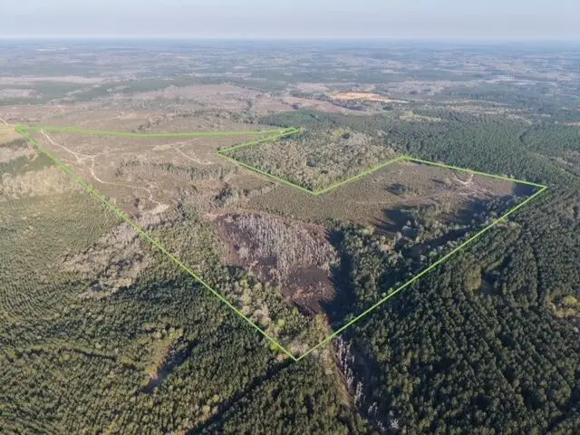 1718 TBD 198 Acres +/-, Westville, FL 32464 - #1