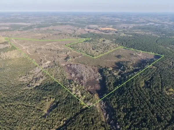 1718 TBD 198 Acres +/-, Westville, FL 32464