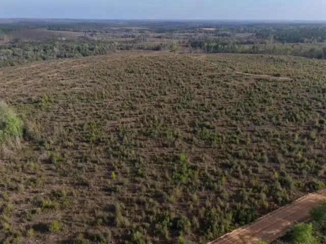 1718 TBD 198 Acres +/-, Westville, FL 32464 - #2