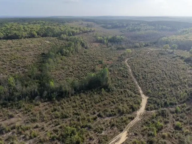 1718 TBD 198 Acres +/-, Westville, FL 32464 - #3