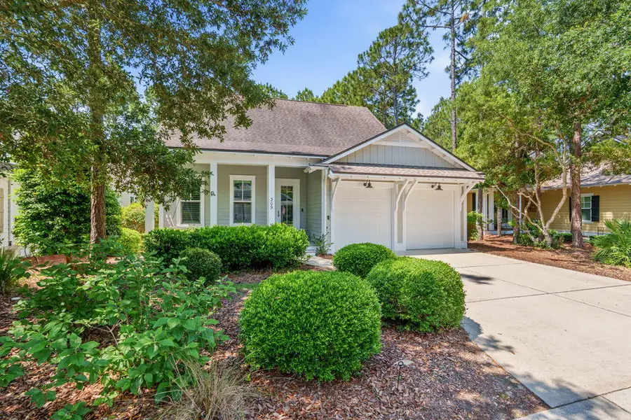309 Jack Knife Drive, Inlet Beach, FL 32461 - #3