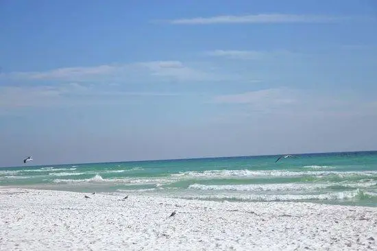 200 Sandestin Lane #APT 622, Miramar Beach, FL 32550 - #3