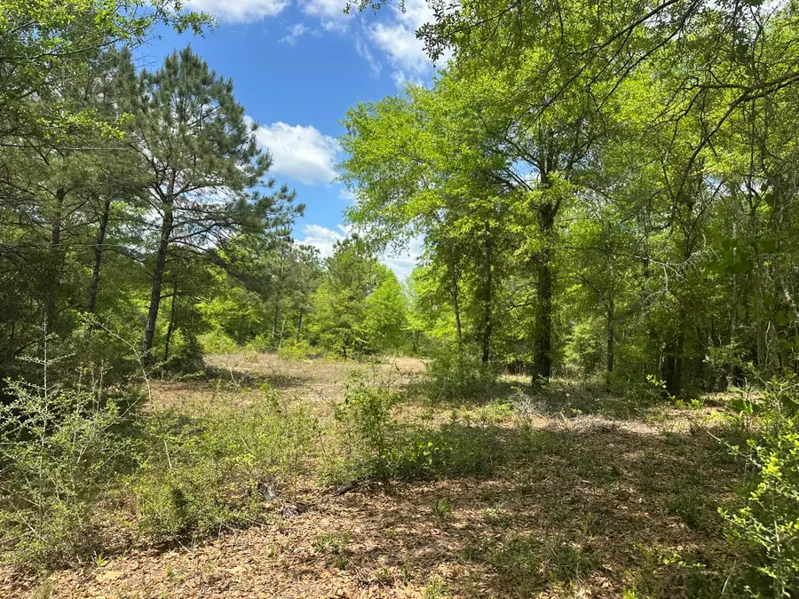 TBD Gomillion Road, Grant, AL 00N/A - #3