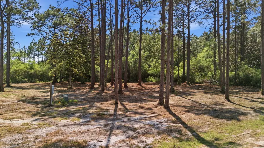 Lot 3 Elise Street, Santa Rosa Beach, FL 32459 - #2