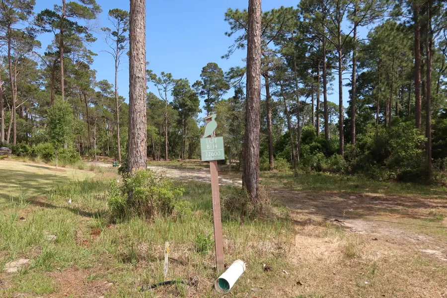 22600 Turtleback Lane, Panama City Beach, FL 32413 - #2