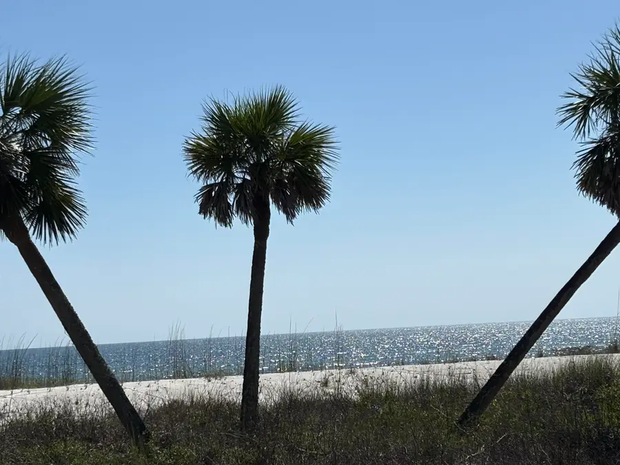 8890 W Hwy 98, Port Saint Joe, FL 32456 - #2
