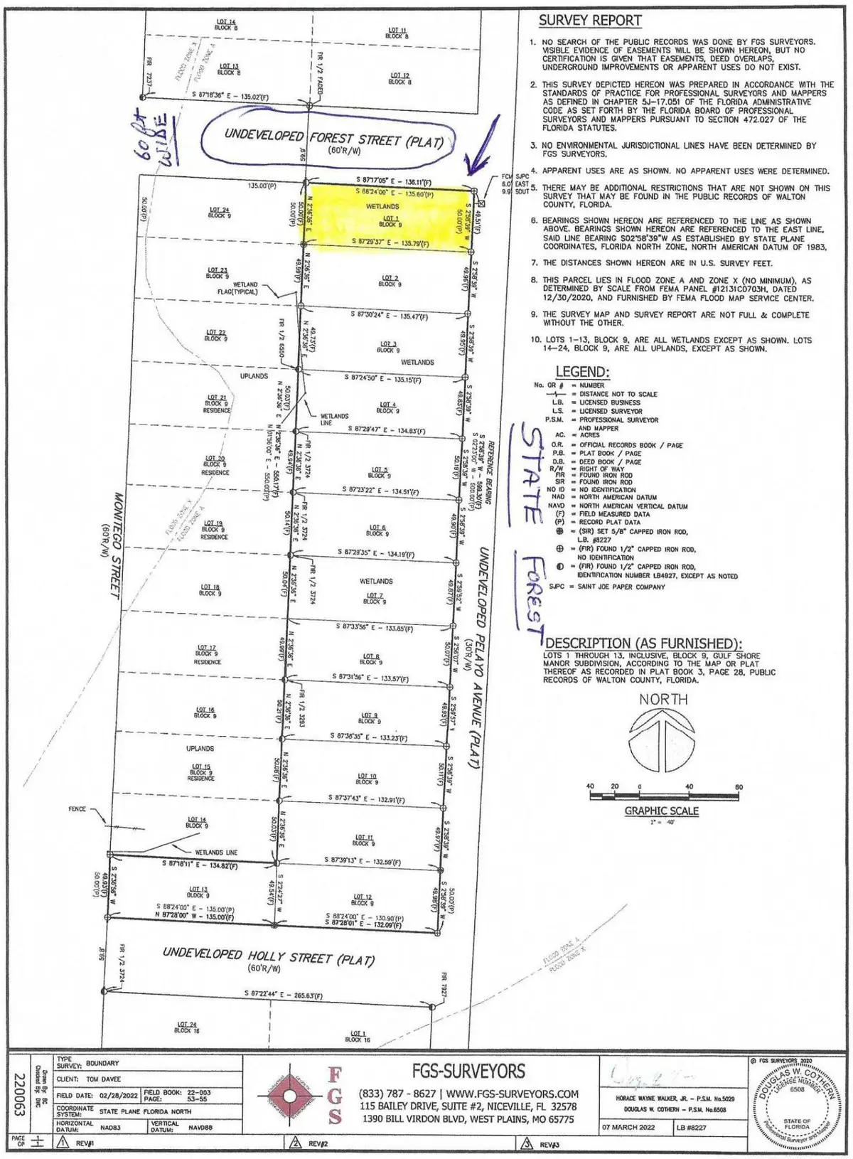 Lot 1 N Montigo North Avenue #1, Santa Rosa Beach, FL 32459 - #1