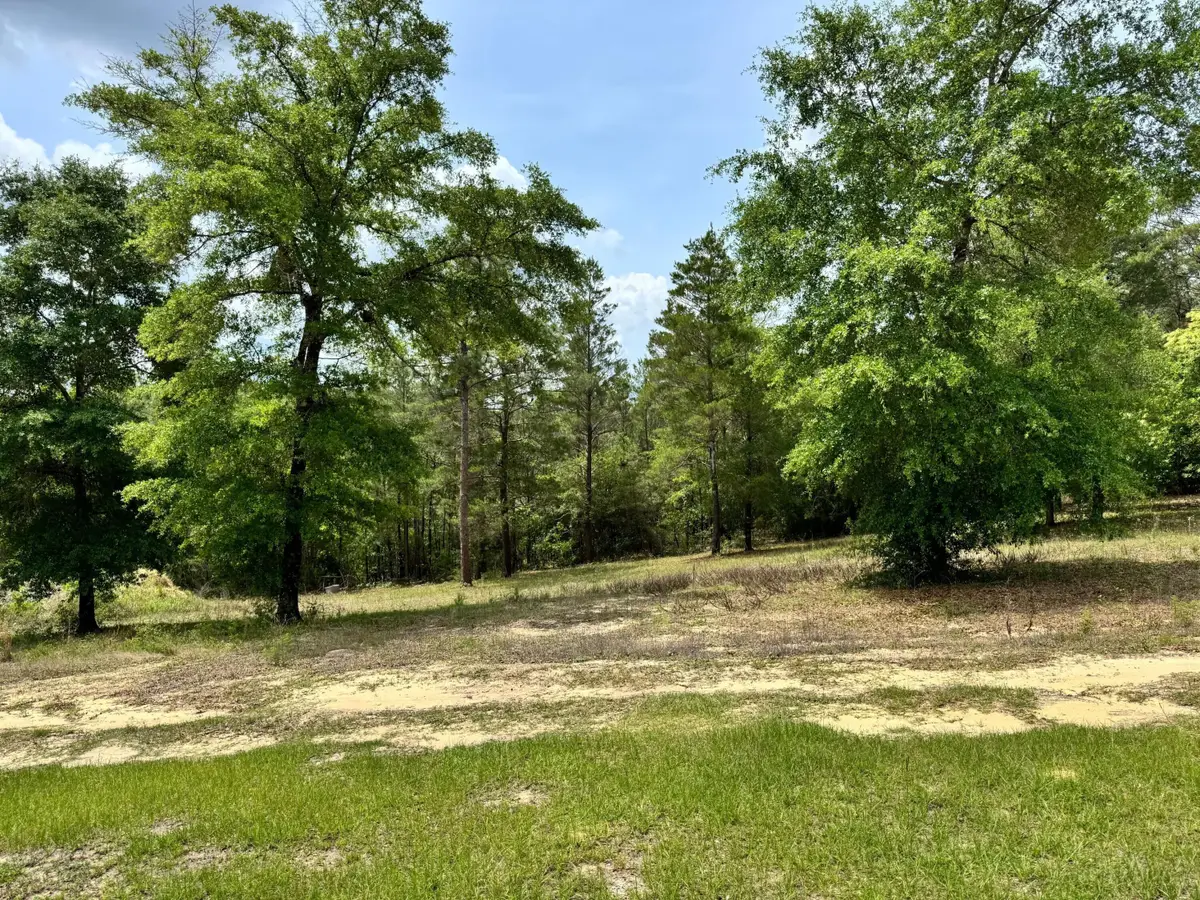 994 O'sage Drive, Defuniak Springs, FL 32433 - #1