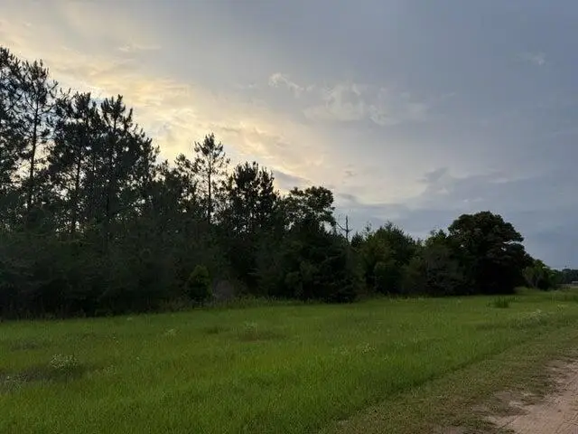 2.49 Acres W Co Hwy 147, Paxton, FL 32538 - #1