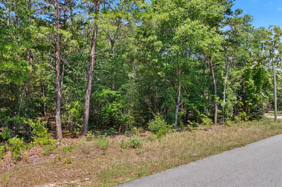 TBD E Picasso Circle, Defuniak Springs, FL 32433 - #3