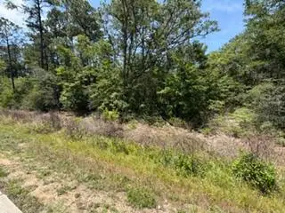 0 N Highway 87, Navarre, FL 32566 - #3