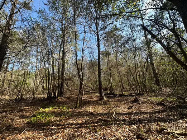 Lot E Snider Avenue, Other, AL 00N/A
