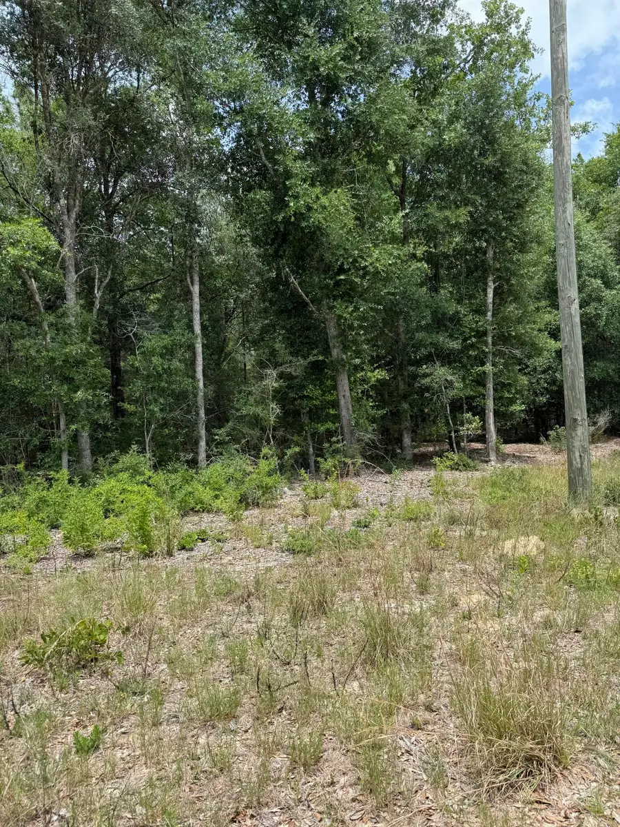 tbd Christopher Lane, Crestview, FL 32539 - #2