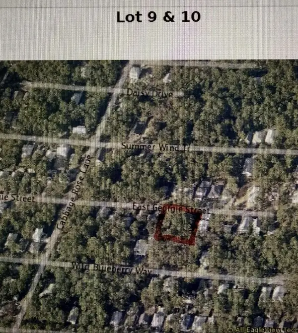 xxx Georgie East Street, Santa Rosa Beach, FL 32459