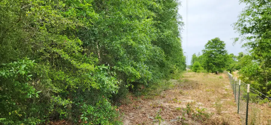 8.26 ac Independence Circle, Defuniak Springs, FL 32433 - #2