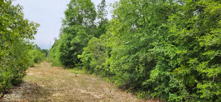 8.26 ac Independence Circle, Defuniak Springs, FL 32433 - #3
