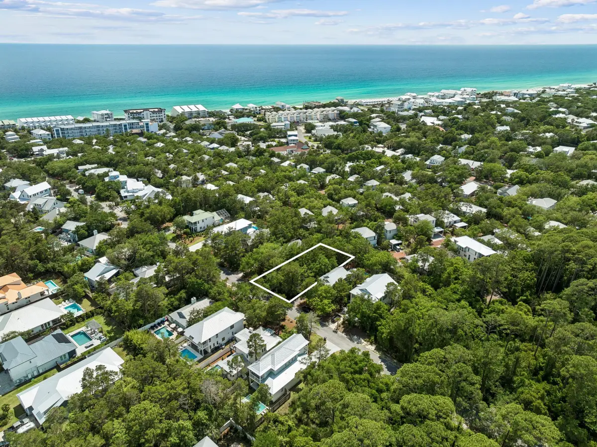 255 Clareon Drive, Inlet Beach, FL 32461 - #1