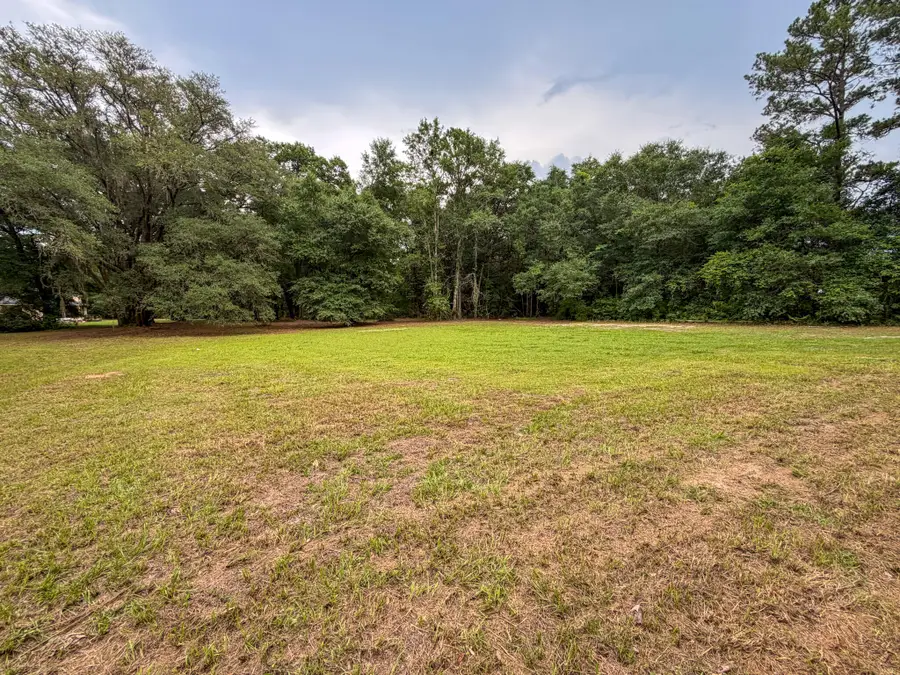 000 Old River Road, Baker, FL 32531 - #3