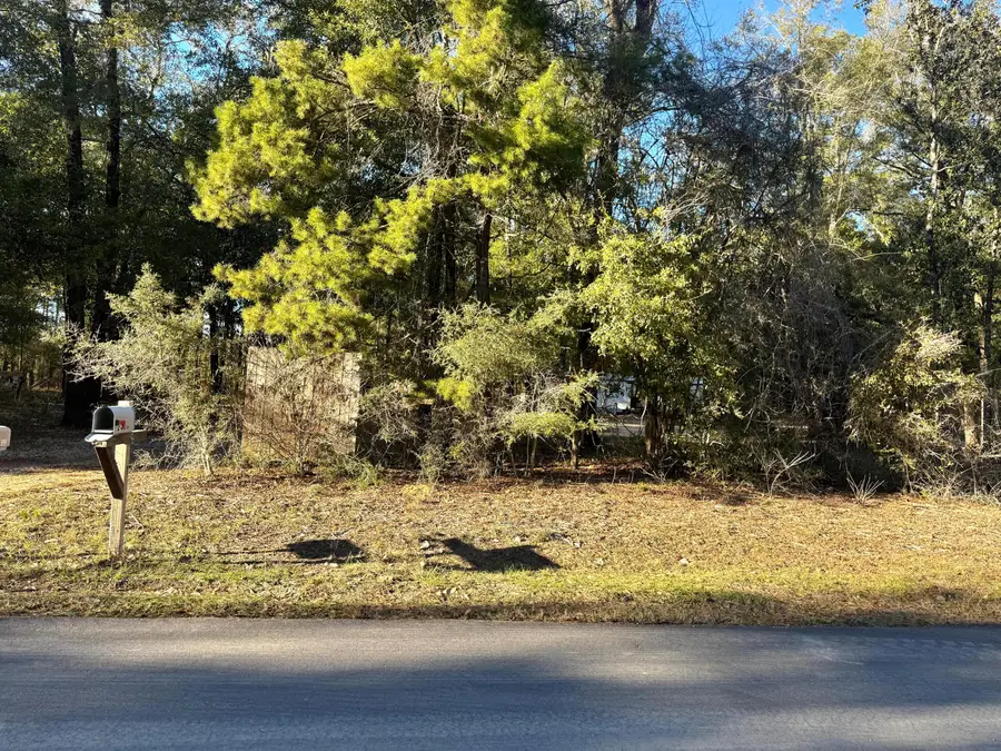 25 Caswell Drive, Defuniak Springs, FL 32435 - #3