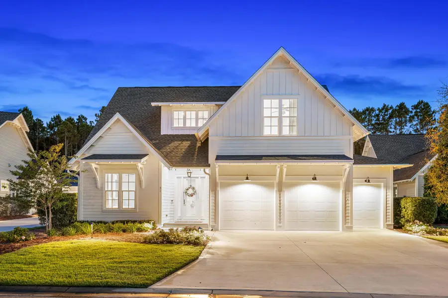 31 Rosecourt Street, Inlet Beach, FL 32461 - #2