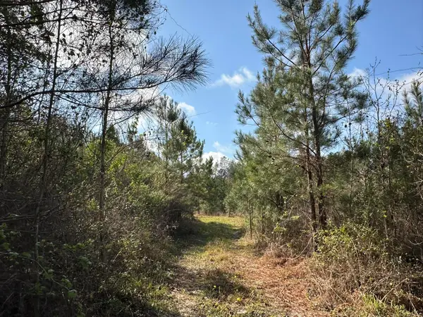 15.5+/-AC Snider Avenue, Other, AL 00N/A