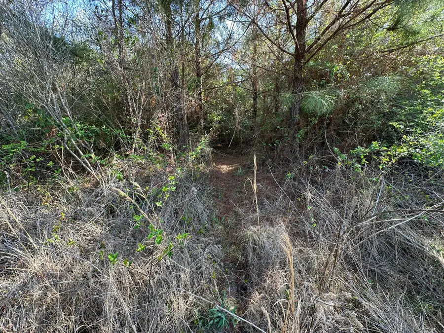 15.5+/-AC Snider Avenue, Other, AL 00N/A - #3